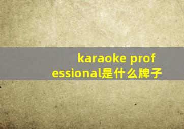 karaoke professional是什么牌子